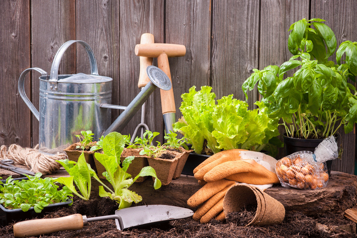 De zomertrends van 2023 in de tuin: Laat je inspireren!