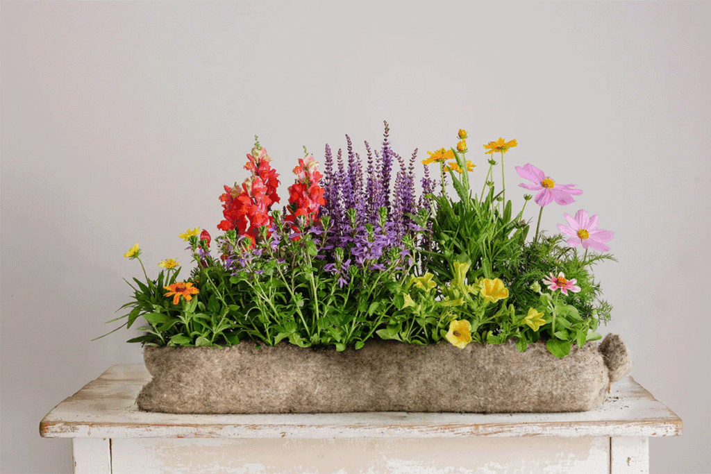 Je balkon zomerklaar met bloemetjes voor bijtjes