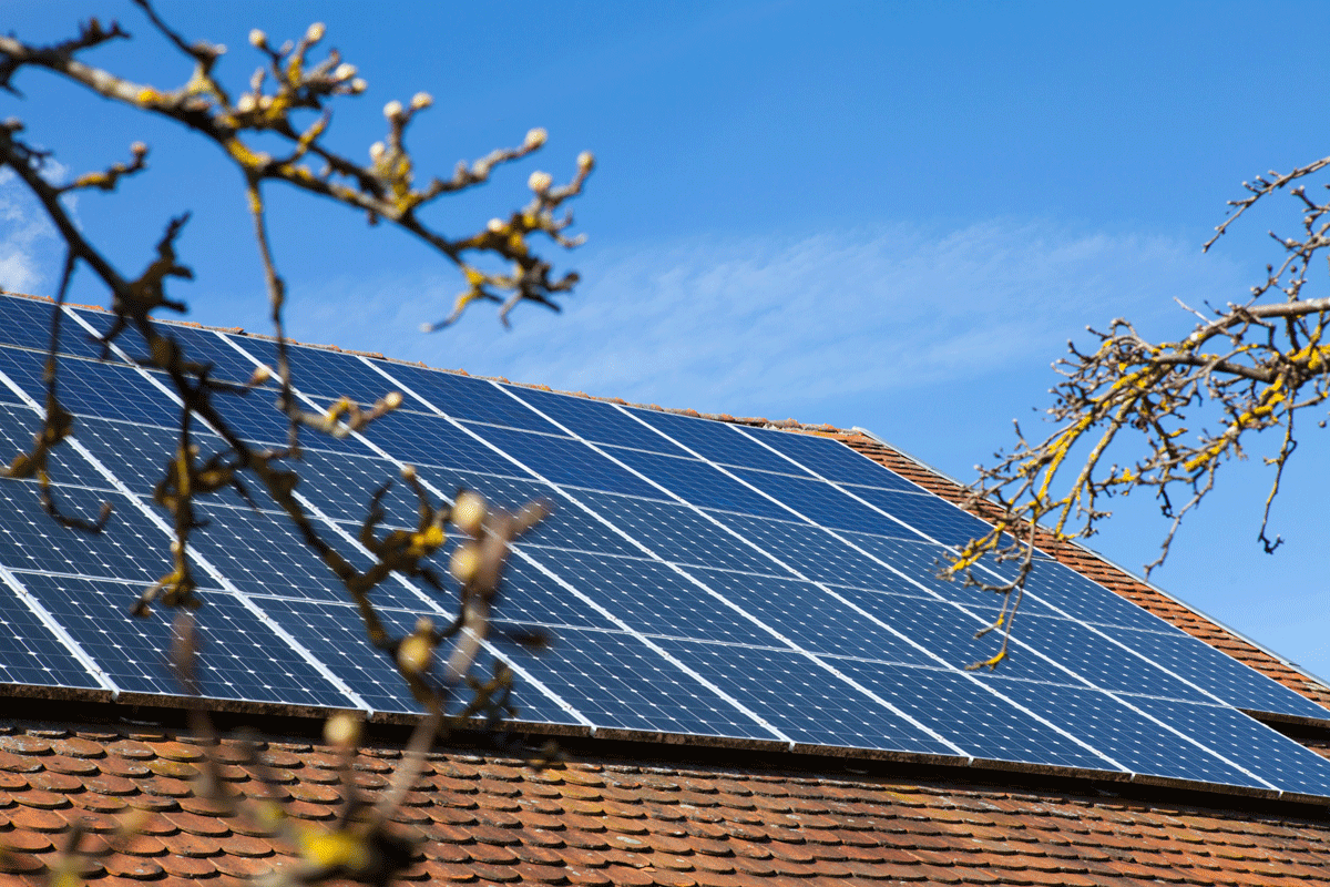 Zonnepanelen: De ultieme gids voor zonne-energie met een knipoog