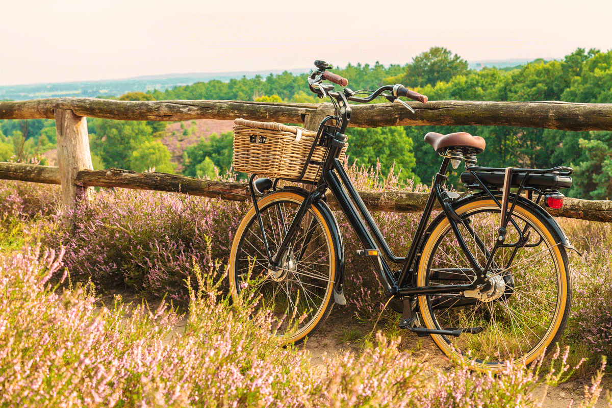 Maak je fiets tourproof voor deze zomer!