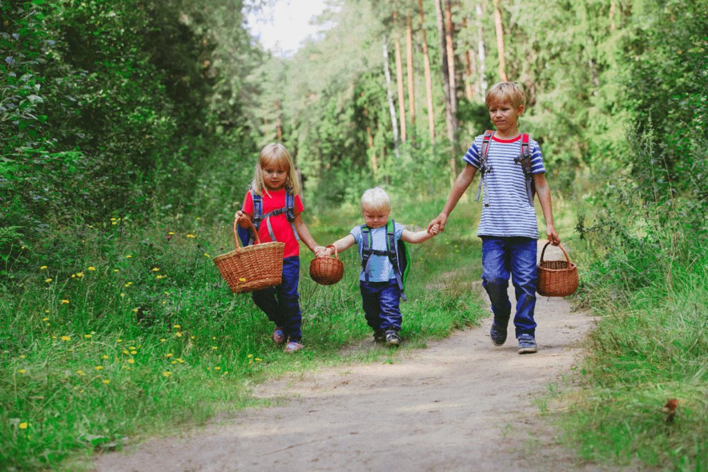 Het Pieterpad: Een Zomers Wandelfeest van Formaat!