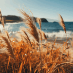 Beleef een mooie nazomer