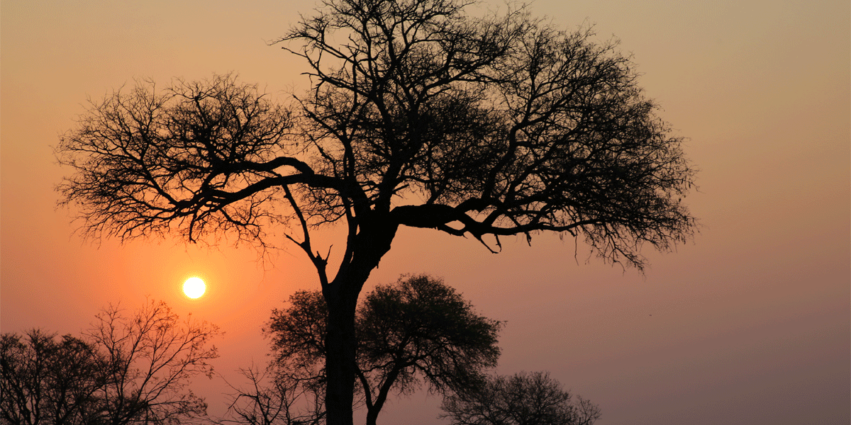 Van Kaapstad tot Kruger: De Hoogtepunten van een Luxe Individuele Rondreis door Zuid-Afrika